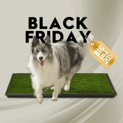 Indoor dog turf