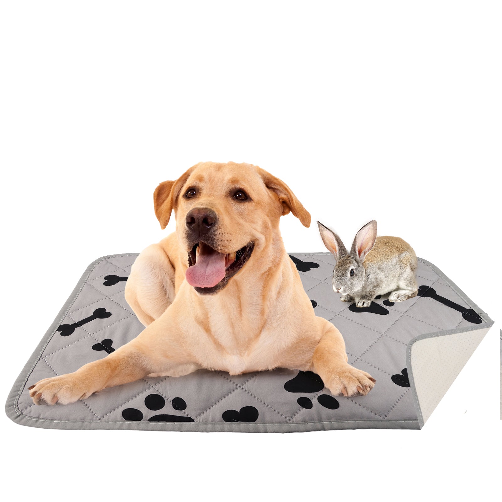 MEEXPAWS Durable Washable Dog Pee Pad 2Pcs – MeexPaws