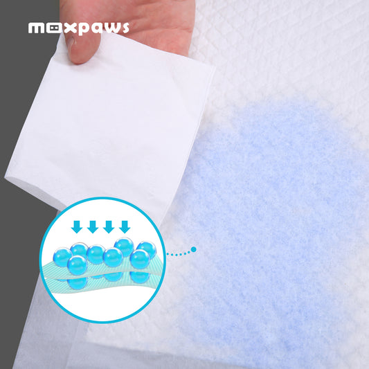 Disposable Training Pads for Dogs