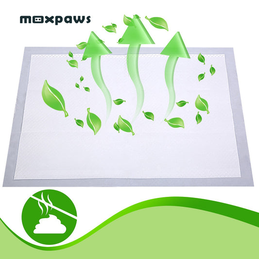 Disposable Training Pads for Dogs