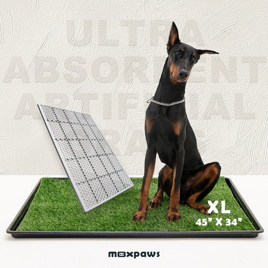 MEEXPAWS_Dog_Grass_Pee_Pads_with_Tray_-_XL