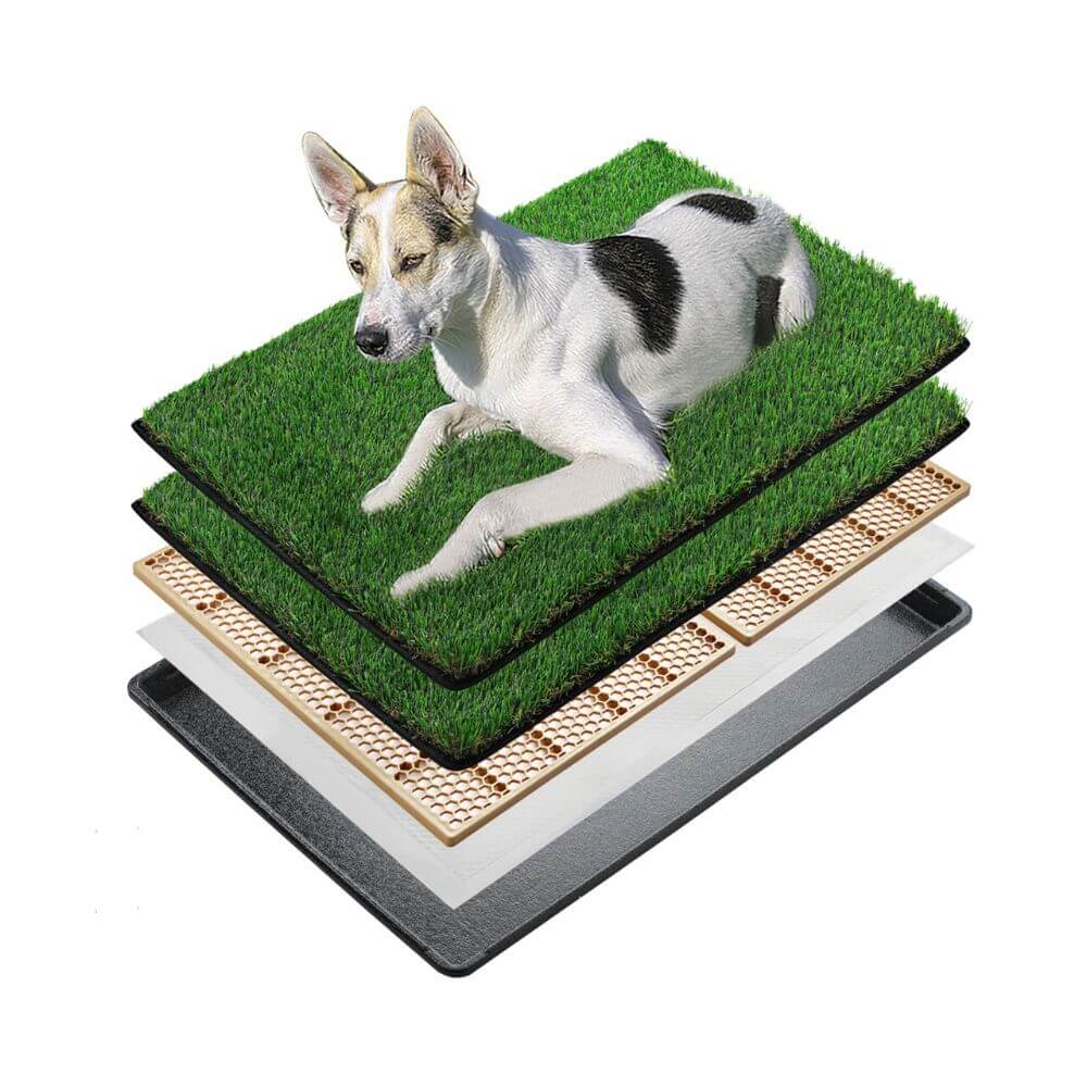 Indoor pet pee clearance grass