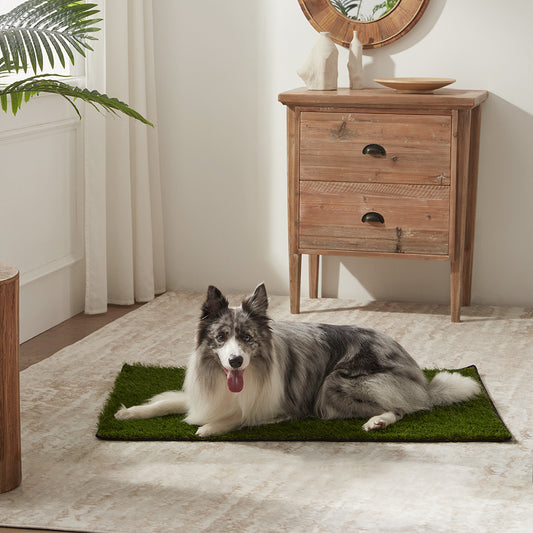 Artificial Dog Grass Pad