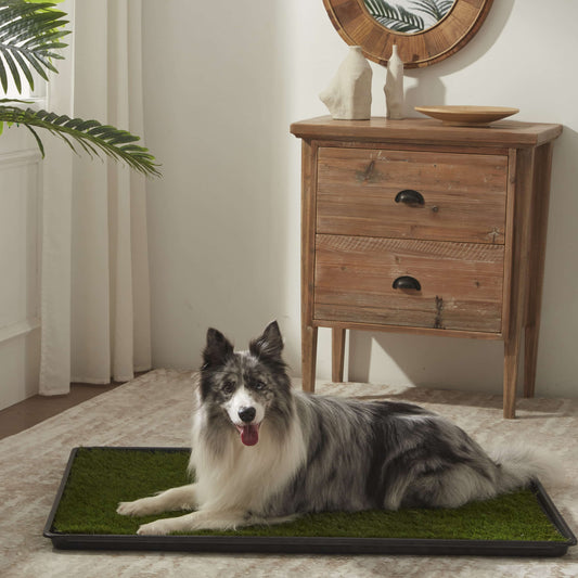 Dog Grass Pee Pads with Tray