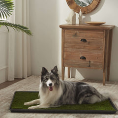 Dog Grass Pee Pads with Tray