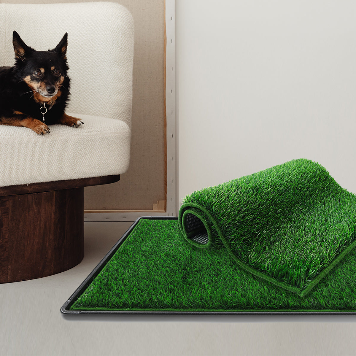 Dog_Potty_Training_with_Artificial_Grass