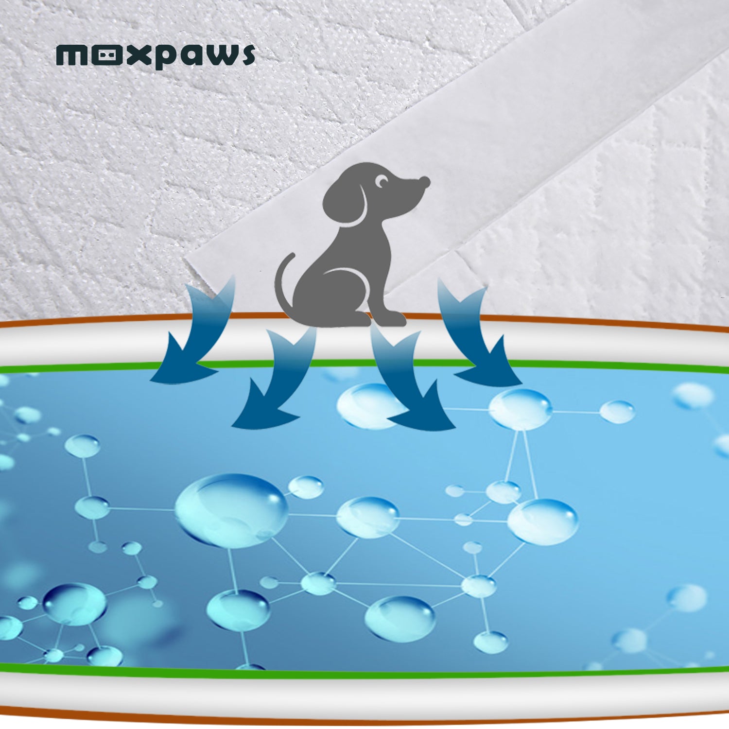  Disposable Training Pads for Dogs