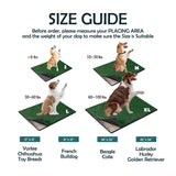 MeexPaws Grass Pee Pad for Dog with Tray – Indoor & Outdoor Potty Solution