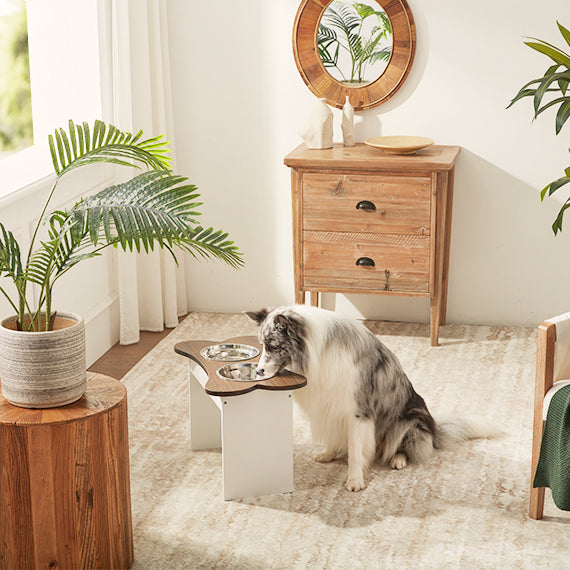 dog_bowl_stand_eating_comfortably