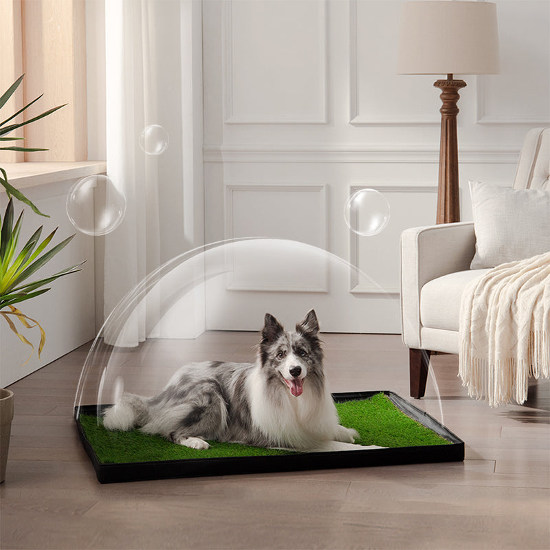 meexpaws_pet_grass odor-free environment